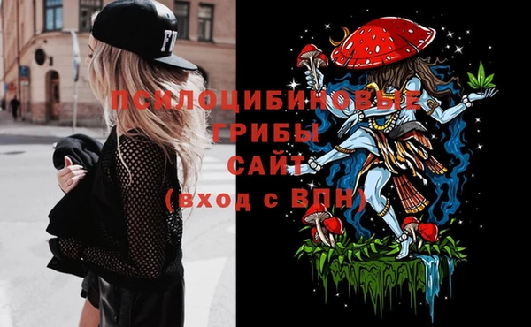 ГАЛЛЮЦИНОГЕННЫЕ ГРИБЫ Баксан