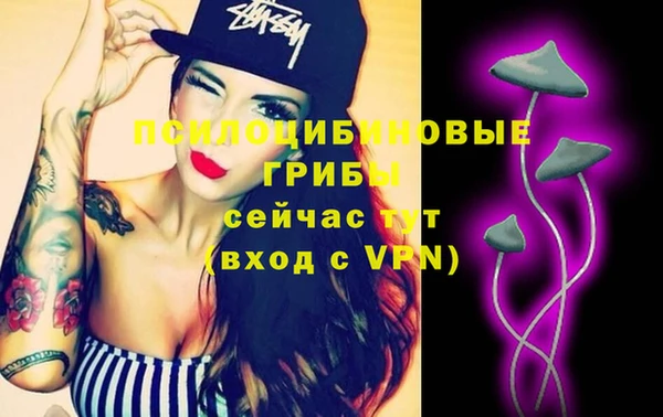 ГАЛЛЮЦИНОГЕННЫЕ ГРИБЫ Баксан